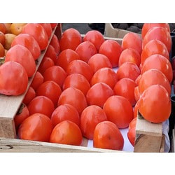 ����� "������ ������"